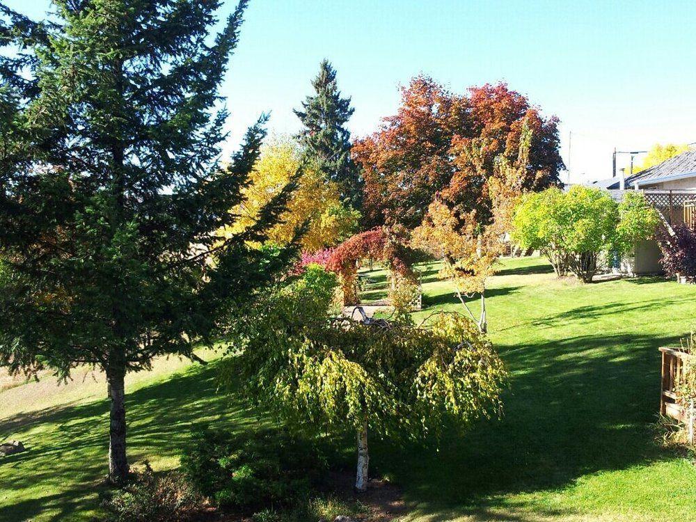 Drummond Lodge Williams Lake Ngoại thất bức ảnh